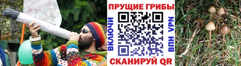 Галлюциногенные грибы мицелий  Купить закладки  Анапа 